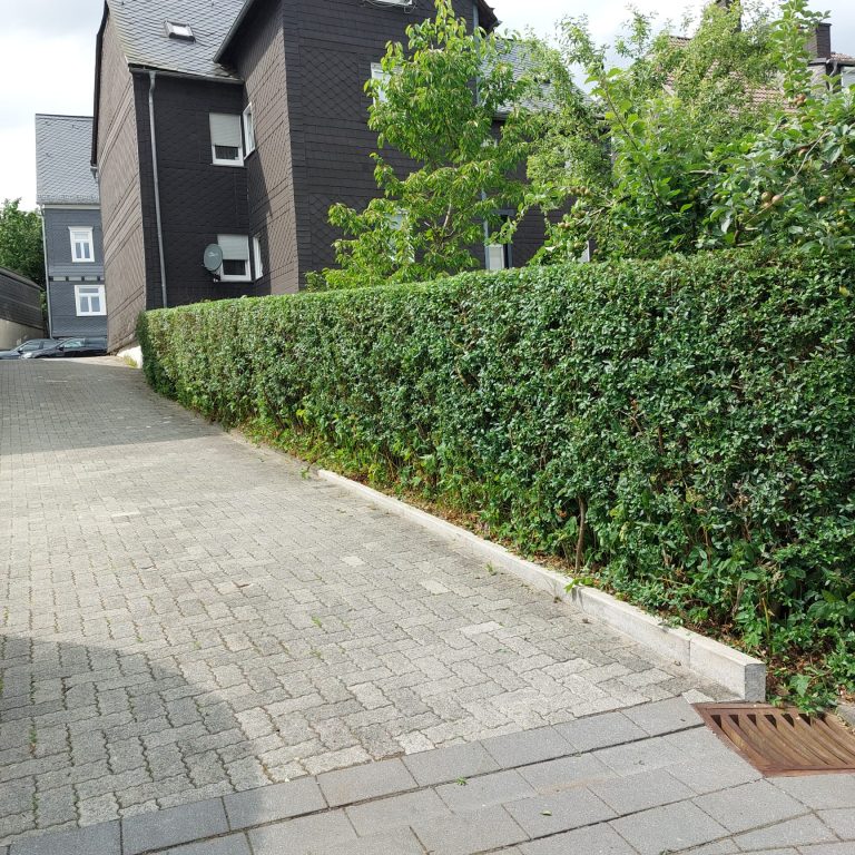 WhatsApp Image 2024-08-07 at 19.08.39