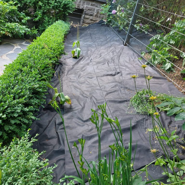 WhatsApp Image 2024-08-07 at 19.11.04(2)